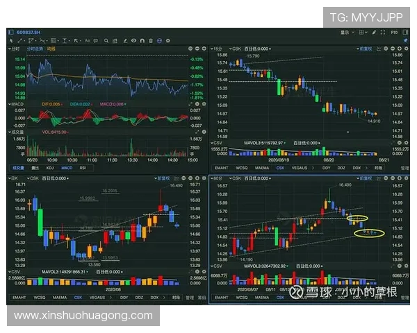 南京篮球队与成都篮球队赛后复盘分析球员个人能力的对比与启示