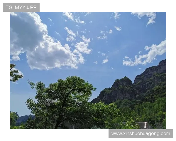 攀岩高手李伟分享成功秘诀与训练心得的独家专访